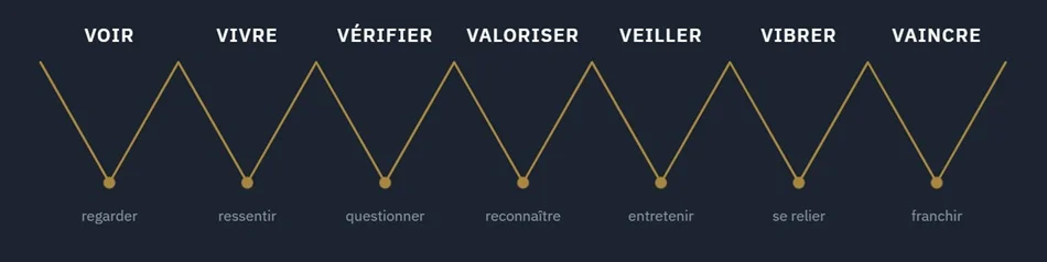 Le schéma des sept V : voir, vivre, vérifier, valoriser, veiller, vibrer, vaincre